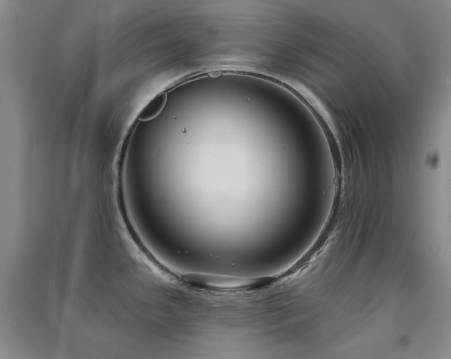 X0000091511341200708171148