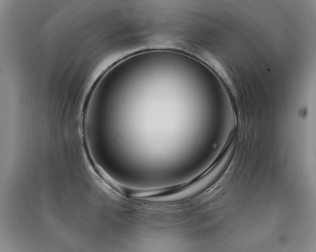 X0000091511342200708171148