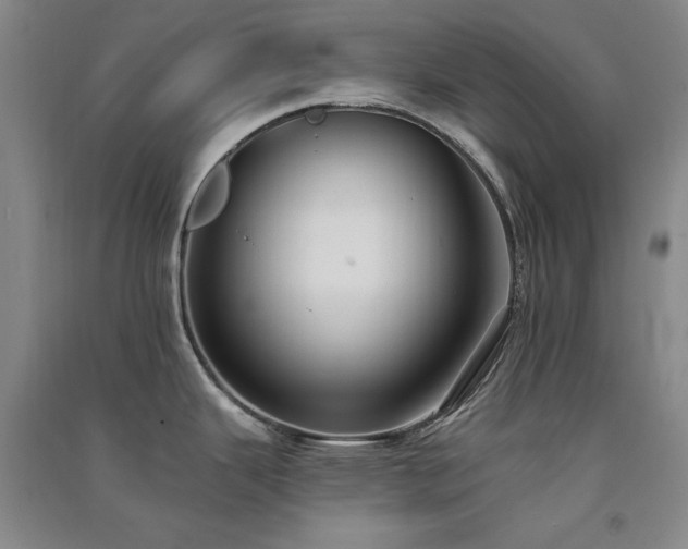 X0000091511343200708171148
