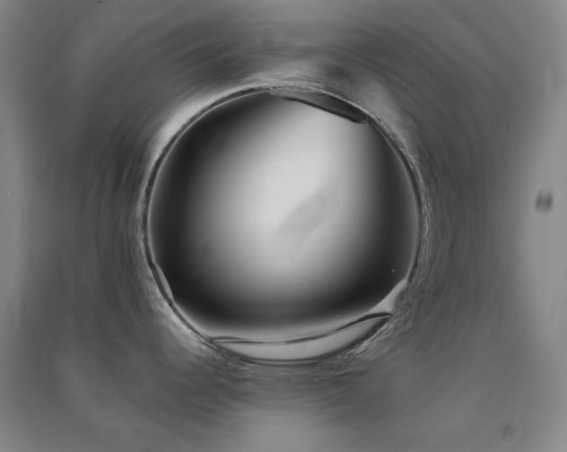 X0000091511344200708171148