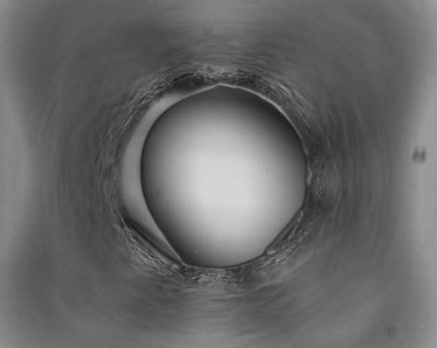 X0000091511345200708171147