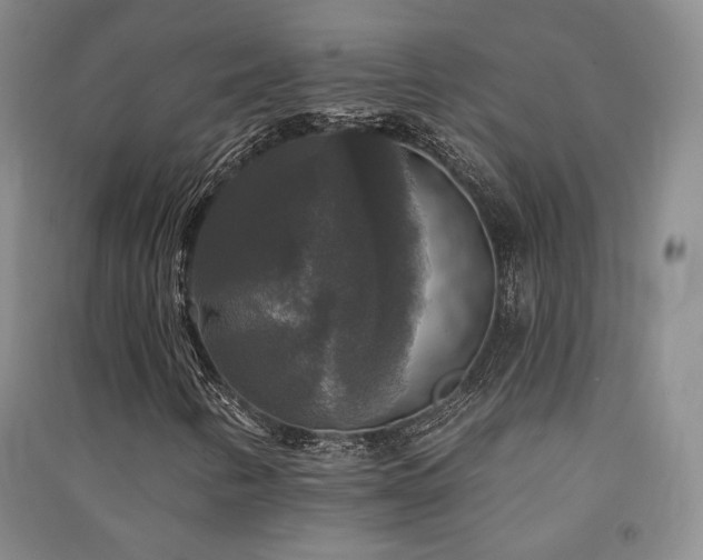 X0000091511346200708171147