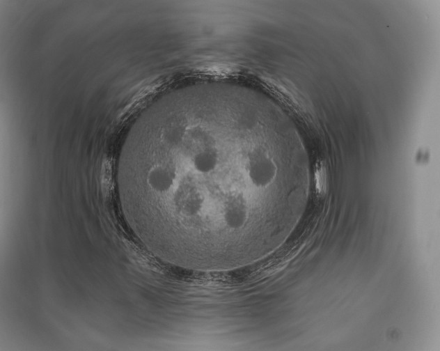 X0000091511347200708171147