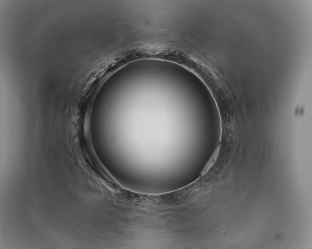 X0000091511349200708171147