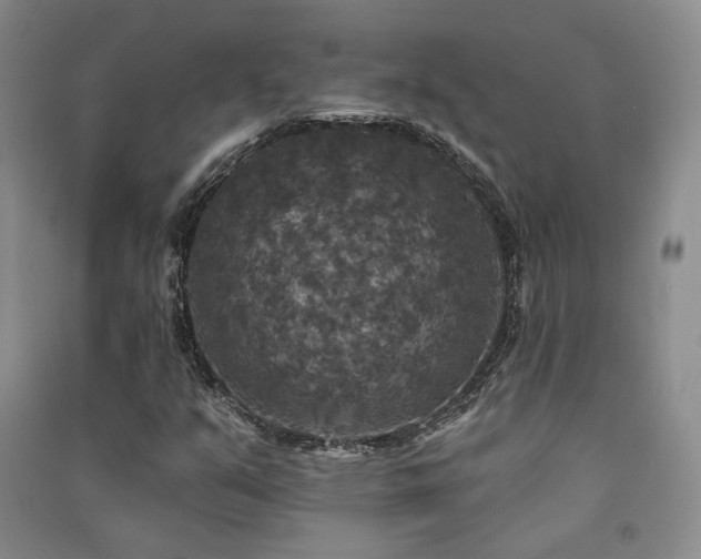 X0000091511351200708171147