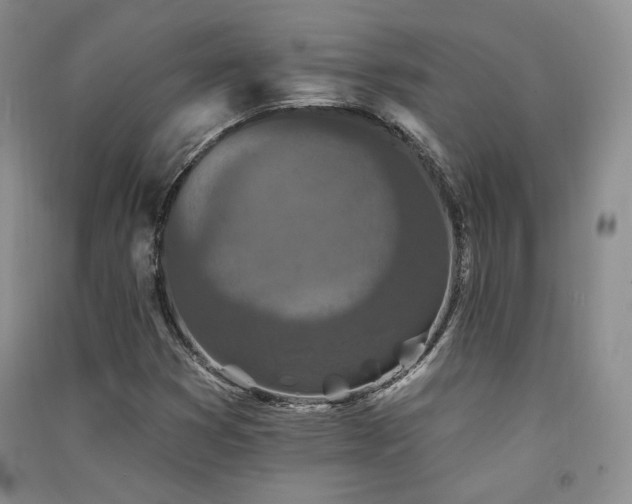 X0000091511353200708171147