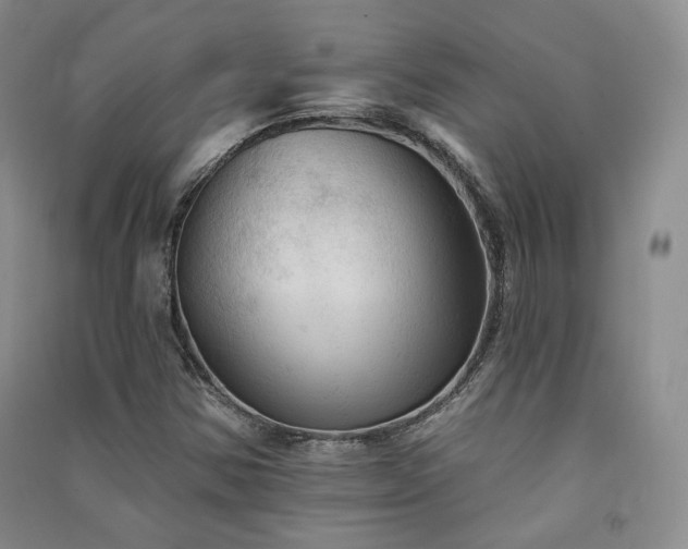 X0000091511354200708171147