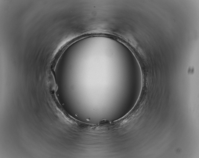 X0000091511356200708171147