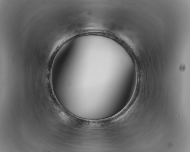 X0000091511357200708171147