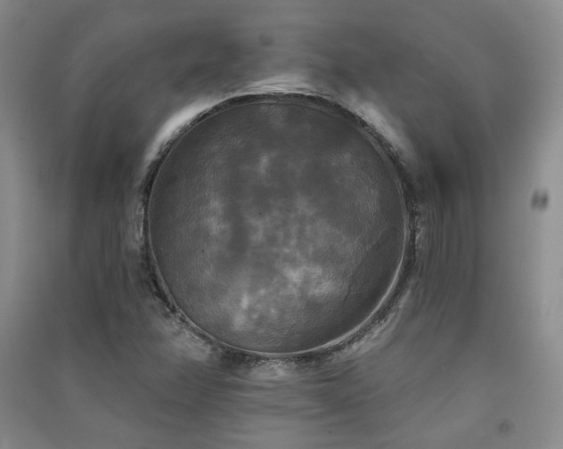 X0000091511358200708171147