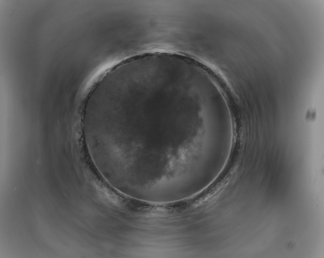 X0000091511359200708171147