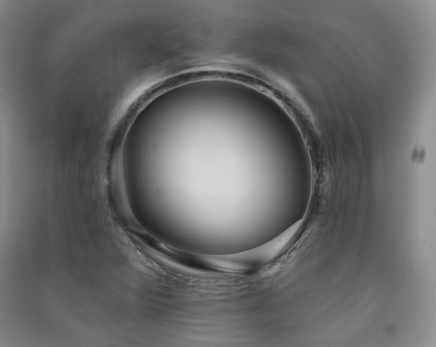 X0000091511360200708171147