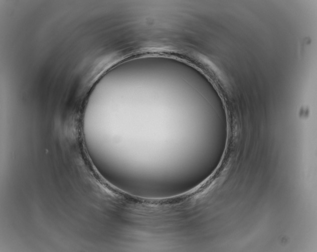 X0000091511361200708171147