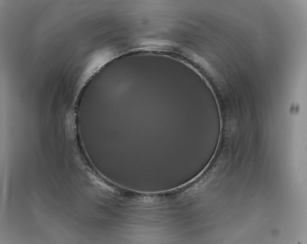 X0000091511362200708171147