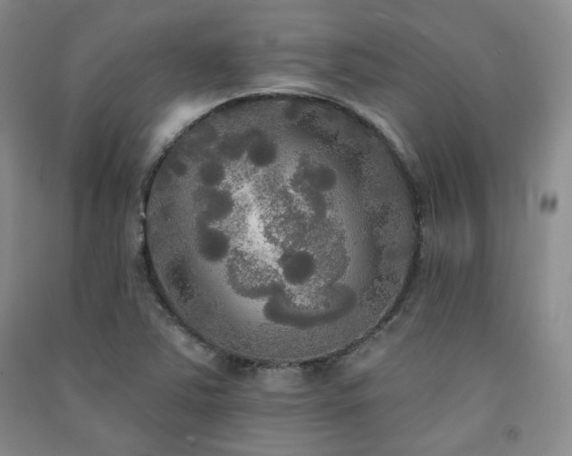 X0000091511363200708171147