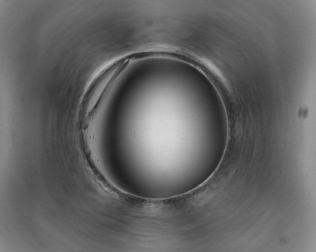 X0000091511364200708171147