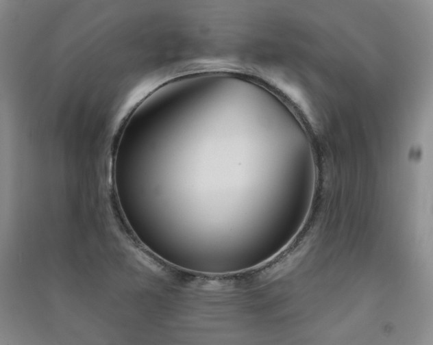 X0000091511365200708171147