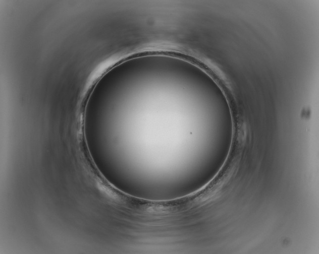 X0000091511366200708171147