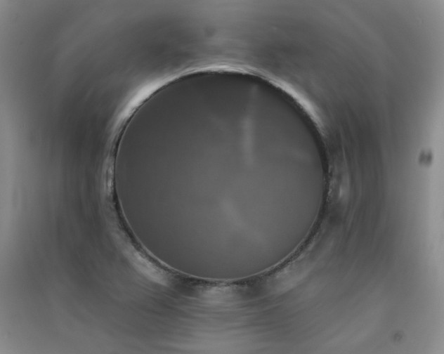 X0000091511367200708171147