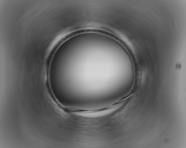 X0000091511368200708171147