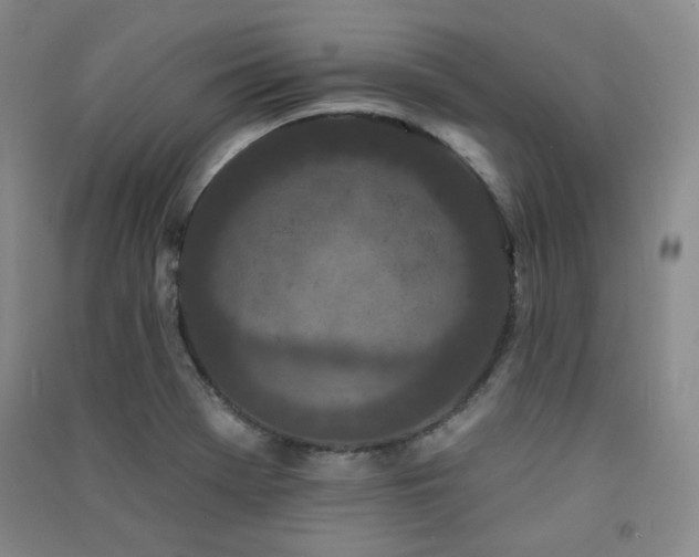 X0000091511369200708171147