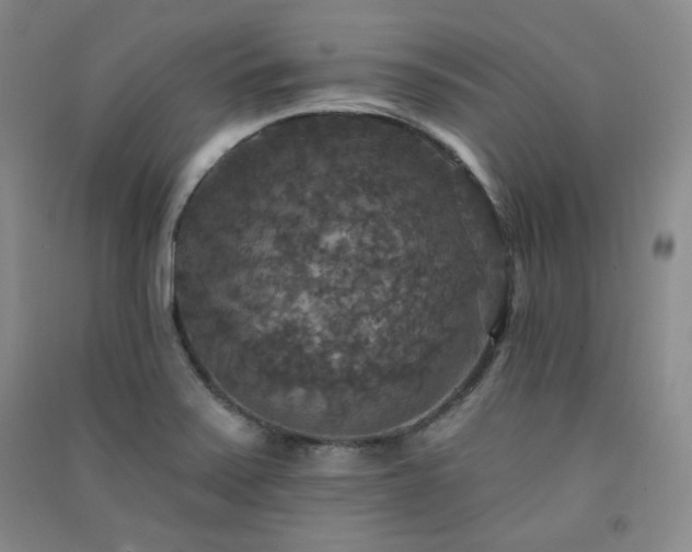 X0000091511371200708171147
