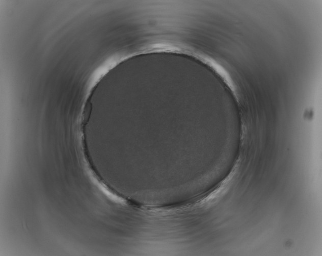 X0000091511373200708171147
