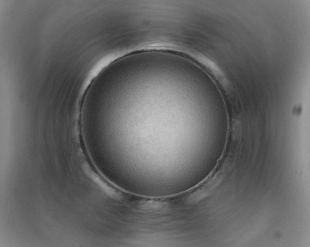 X0000091511374200708171147