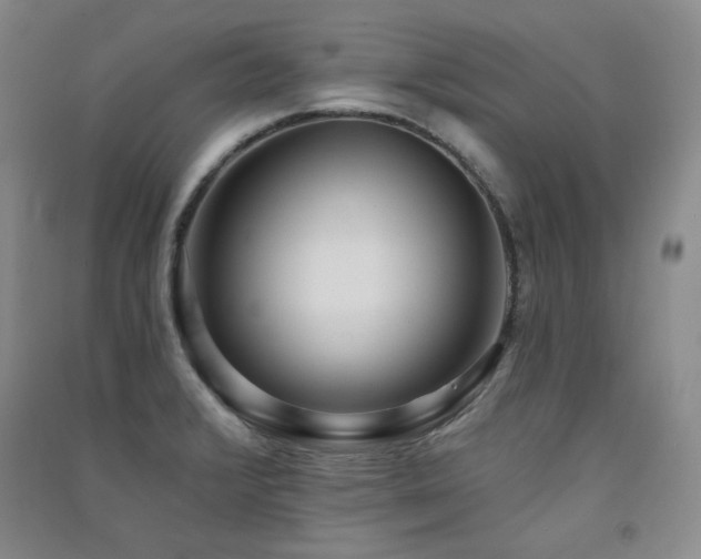 X0000091511376200708171147