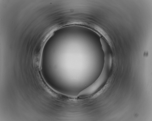X0000091511377200708171147