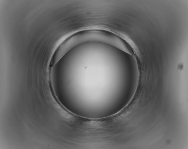 X0000091511380200708171147