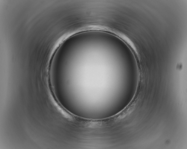 X0000091511381200708171147
