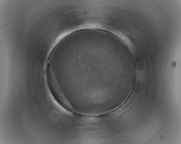 X0000091511382200708171147