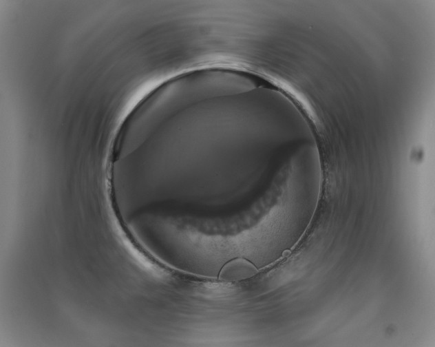 X0000091511383200708171147