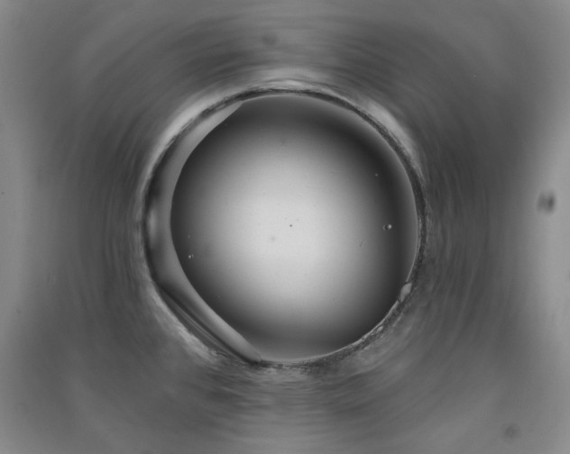 X0000091511384200708171147