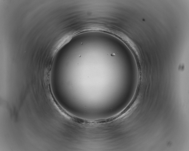 X0000091511385200708171147