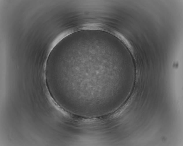 X0000091511386200708171147