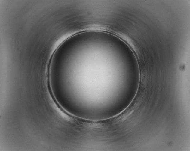 X0000091511387200708171147