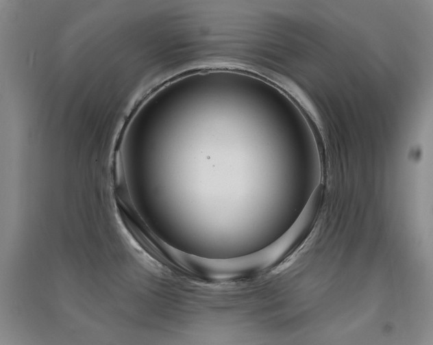 X0000091511388200708171147