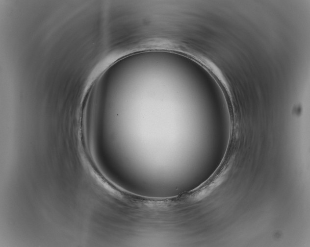 X0000091511389200708171147