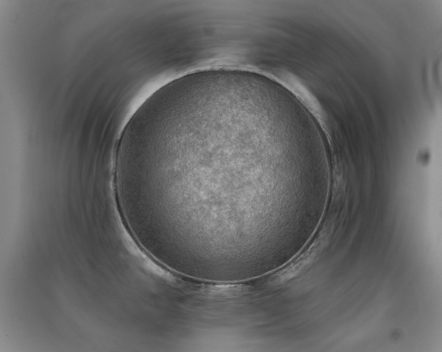 X0000091511390200708171147