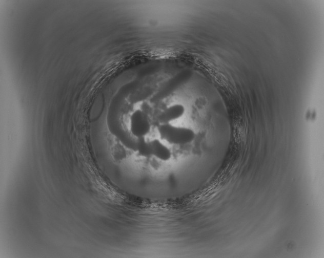 X0000091511393200708171146