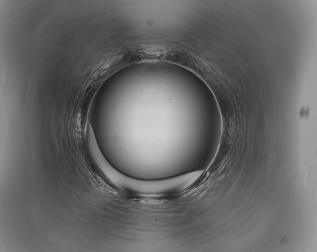 X0000091511394200708171146