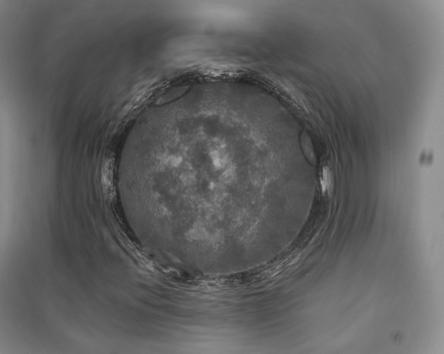 X0000091511396200708171146
