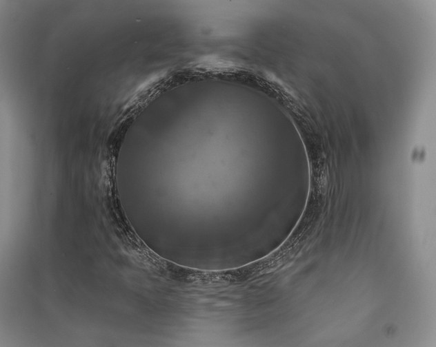 X0000091511397200708171146