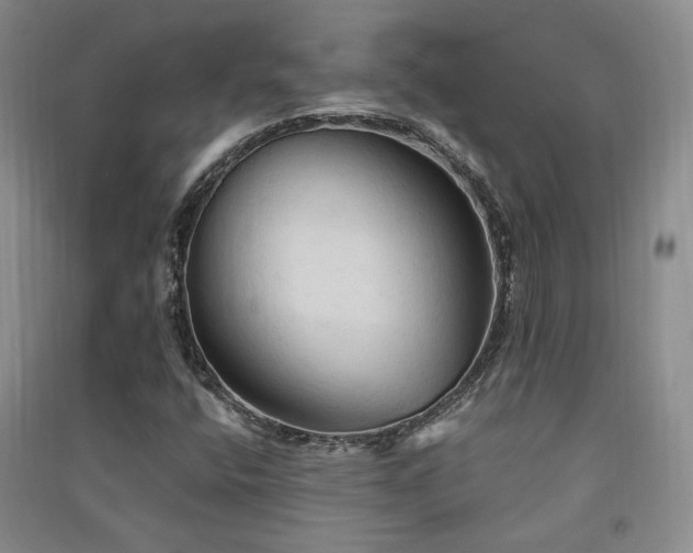 X0000091511400200708171146