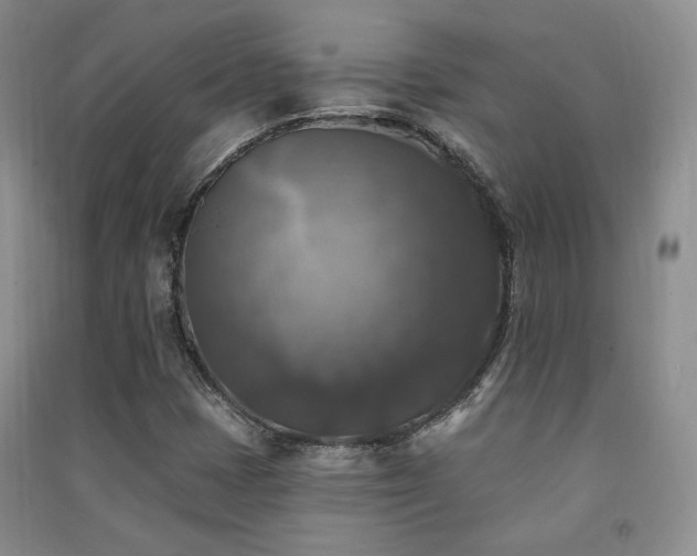X0000091511401200708171146