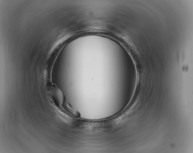X0000091511402200708171146