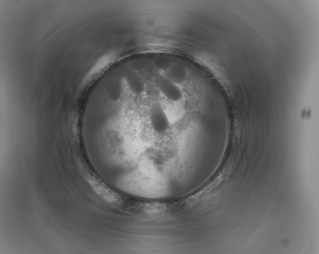 X0000091511403200708171146
