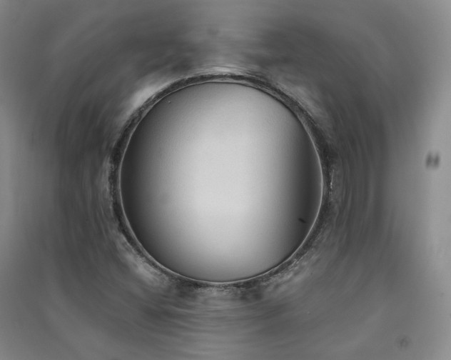X0000091511404200708171146
